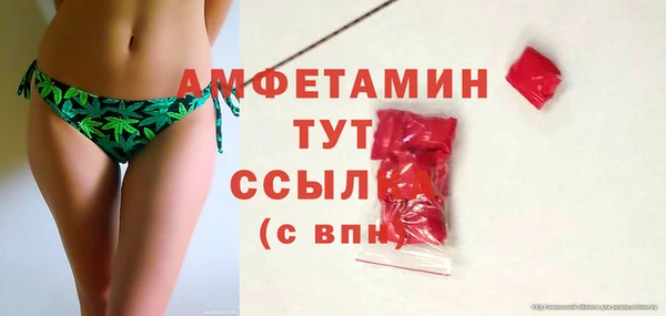 молекула духа Алексин