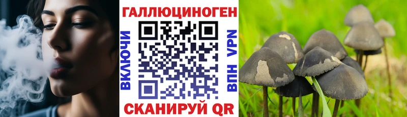 Галлюциногенные грибы мицелий Цоци-Юрт