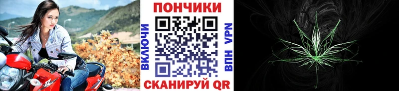 купить наркоту  Цоци-Юрт  blacksprut сайт  Бошки марихуана SATIVA & INDICA 